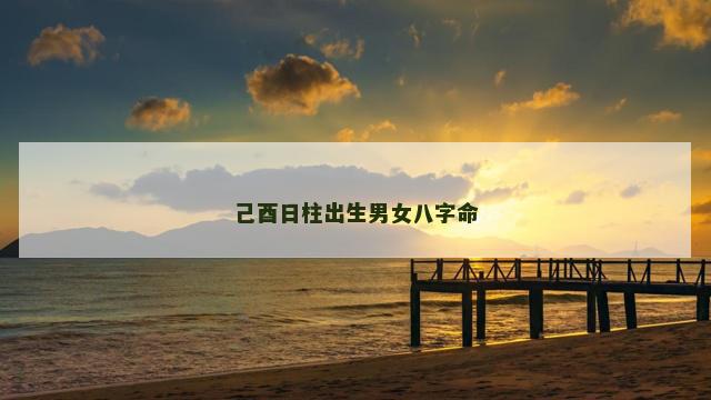 己酉日柱出生男女八字命