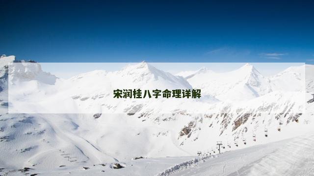 宋润桂八字命理详解