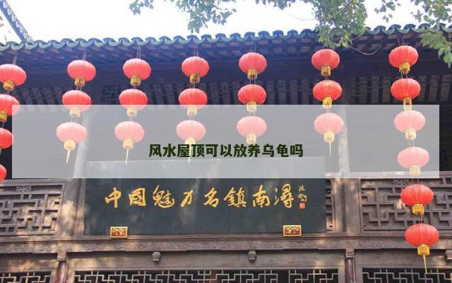 风水屋顶可以放养乌龟吗