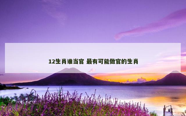 12生肖谁当官 最有可能做官的生肖