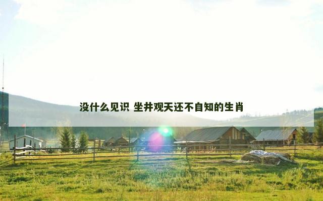 没什么见识 坐井观天还不自知的生肖