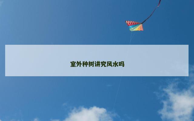 室外种树讲究风水吗