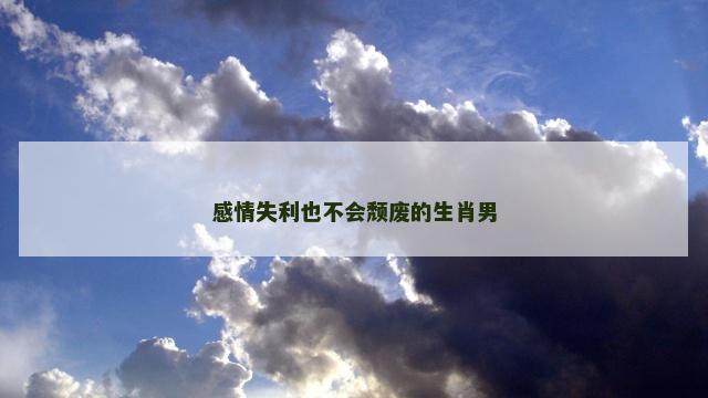 感情失利也不会颓废的生肖男