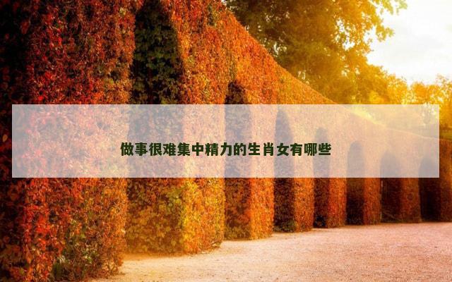 做事很难集中精力的生肖女有哪些