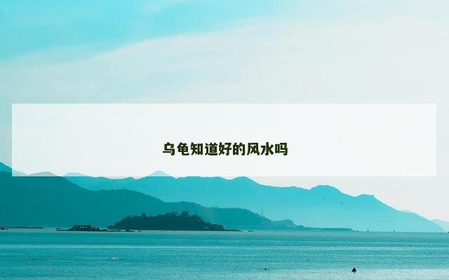 乌龟知道好的风水吗