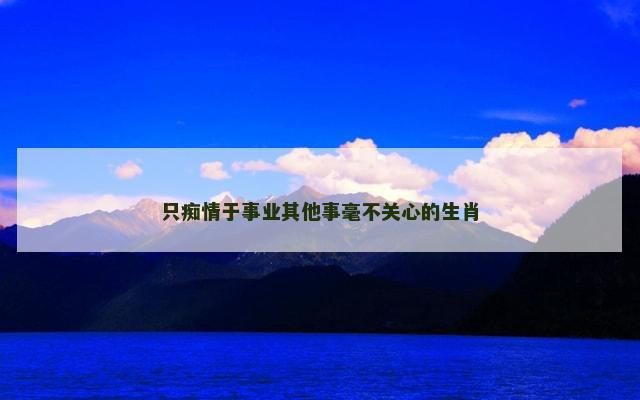 只痴情于事业其他事毫不关心的生肖