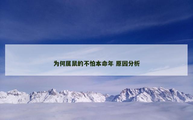 为何属鼠的不怕本命年 原因分析