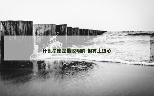 什么星座是最聪明的 很有上进心
