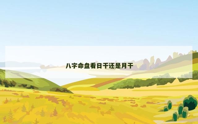 八字命盘看日干还是月干