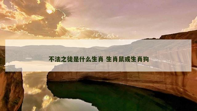 不法之徒是什么生肖 生肖鼠或生肖狗