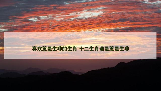 喜欢惹是生非的生肖 十二生肖谁是惹是生非