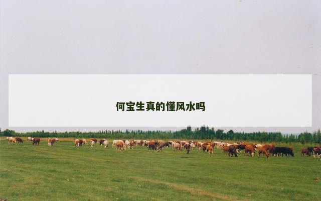 何宝生真的懂风水吗