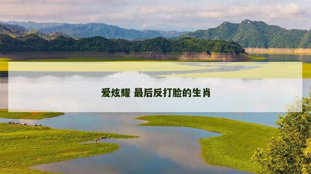 爱炫耀 最后反打脸的生肖