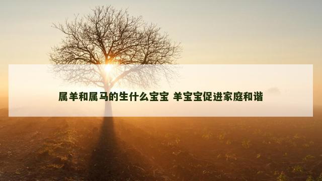 属羊和属马的生什么宝宝 羊宝宝促进家庭和谐