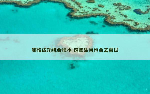 哪怕成功机会很小 这些生肖也会去尝试