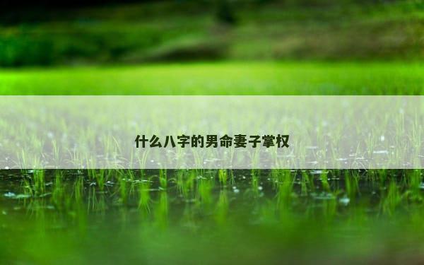什么八字的男命妻子掌权