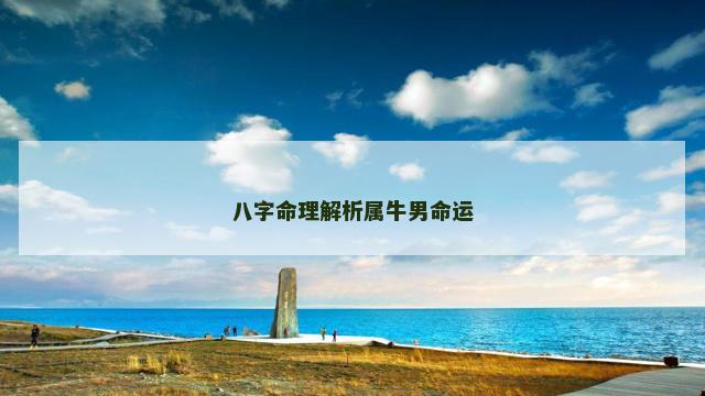 八字命理解析属牛男命运