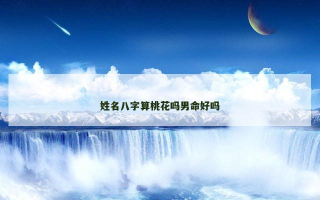 姓名八字算桃花吗男命好吗