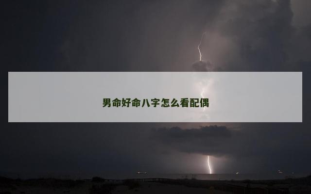 男命好命八字怎么看配偶