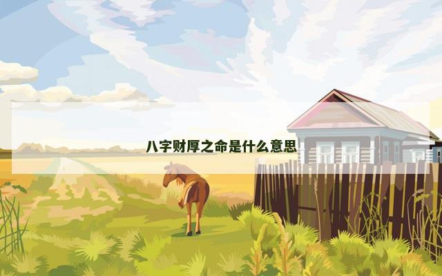 八字财厚之命是什么意思