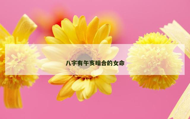 八字有午亥暗合的女命