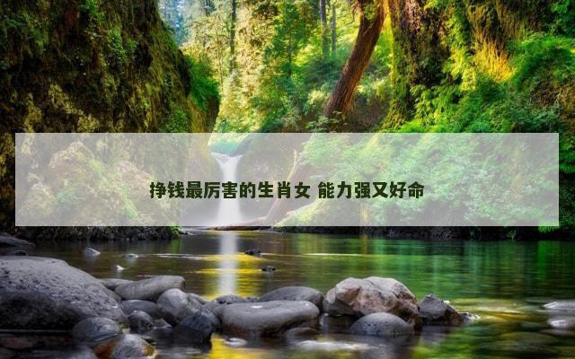 挣钱最厉害的生肖女 能力强又好命