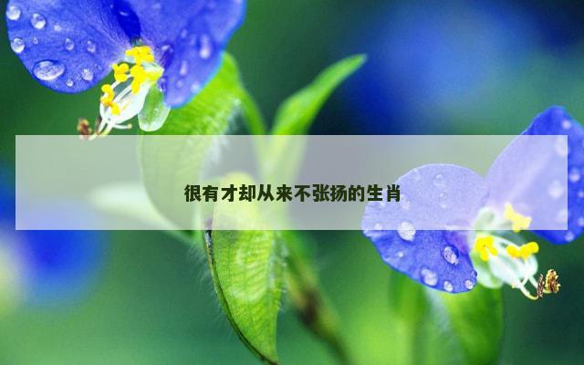 很有才却从来不张扬的生肖