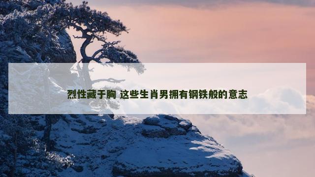 烈性藏于胸 这些生肖男拥有钢铁般的意志