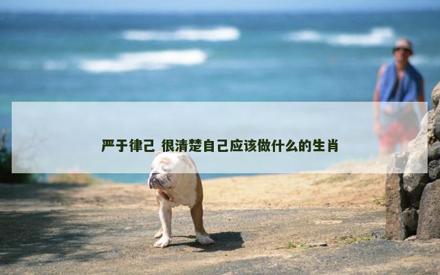 严于律己 很清楚自己应该做什么的生肖