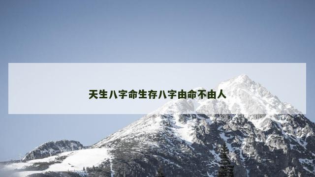 天生八字命生存八字由命不由人