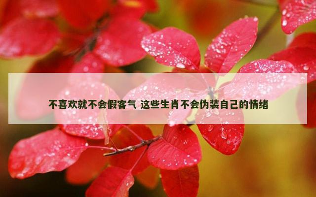 不喜欢就不会假客气 这些生肖不会伪装自己的情绪