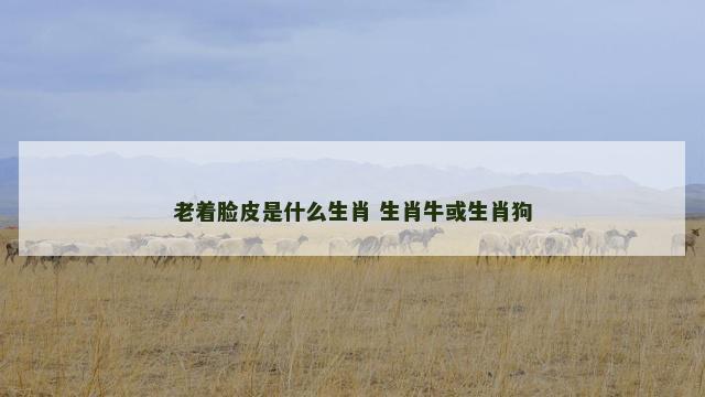 老着脸皮是什么生肖 生肖牛或生肖狗