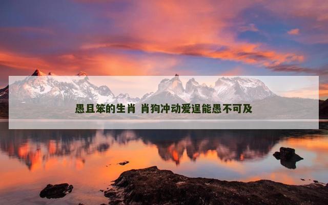 愚且笨的生肖 肖狗冲动爱逞能愚不可及