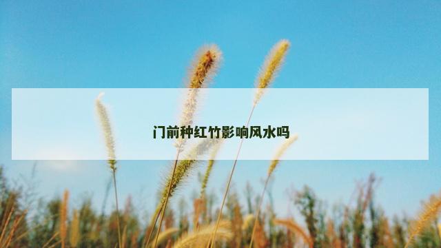门前种红竹影响风水吗