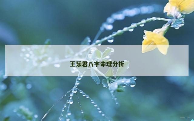 王乐君八字命理分析