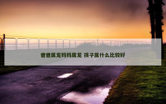 爸爸属龙妈妈属龙 孩子属什么比较好