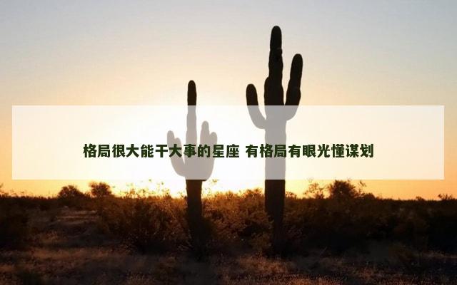 格局很大能干大事的星座 有格局有眼光懂谋划