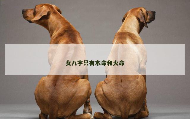 女八字只有木命和火命