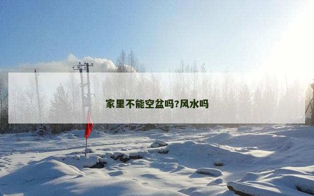 家里不能空盆吗?风水吗