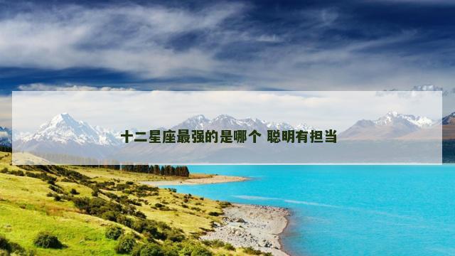 十二星座最强的是哪个 聪明有担当