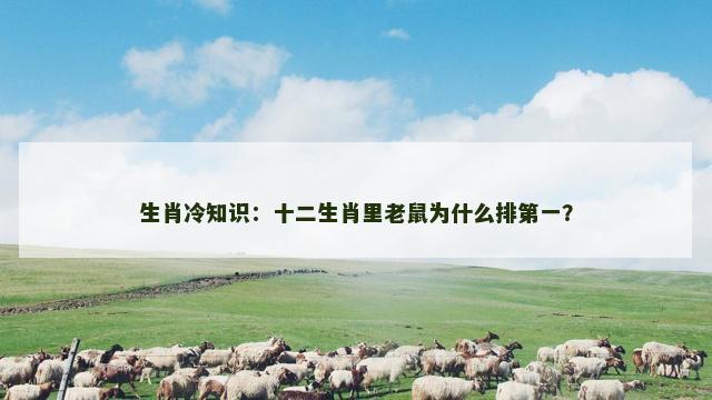 生肖冷知识：十二生肖里老鼠为什么排第一？