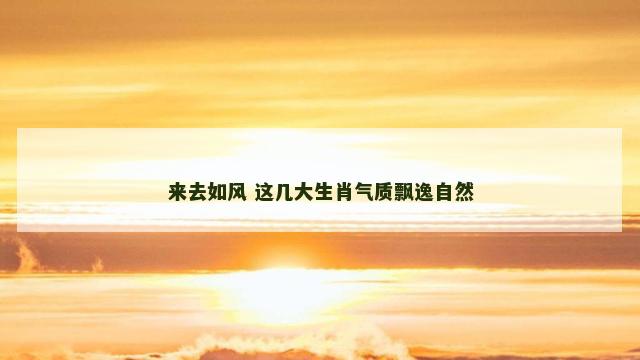 来去如风 这几大生肖气质飘逸自然