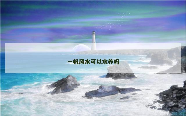 一帆风水可以水养吗