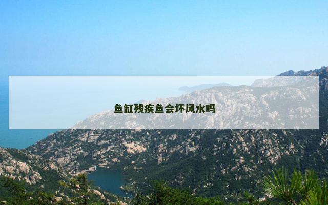 鱼缸残疾鱼会坏风水吗