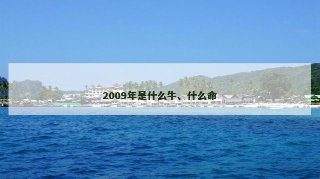 2009年是什么牛、什么命
