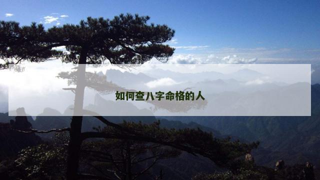 如何查八字命格的人