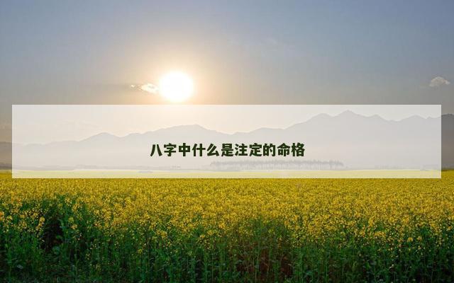 八字中什么是注定的命格