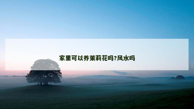 家里可以养茉莉花吗?风水吗