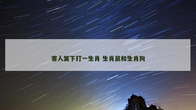 寄人篱下打一生肖 生肖鼠和生肖狗