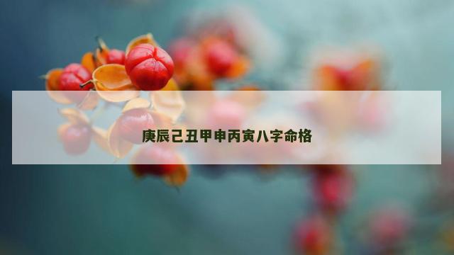 庚辰己丑甲申丙寅八字命格
